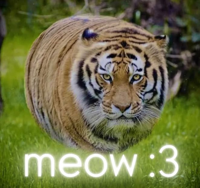 🕐HOURLY🕑 shitpost (@hourly_shitpost) on Twitter photo 