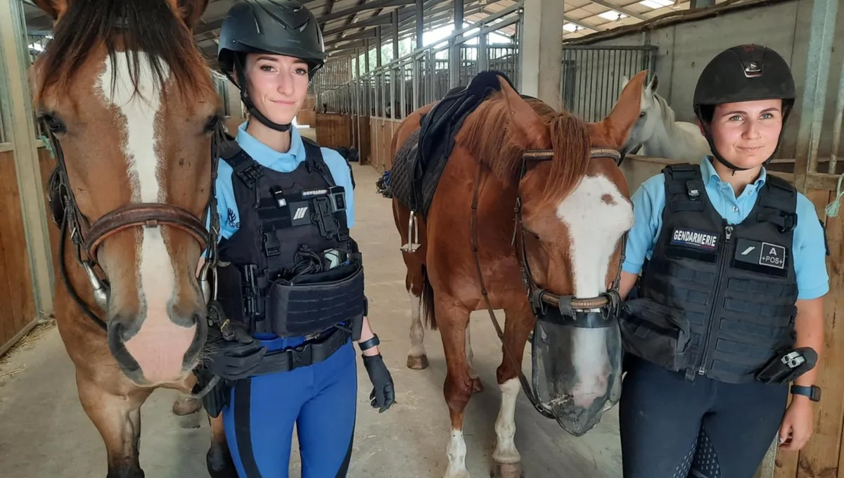 LFPCheval (@lfpcheval) on Twitter photo 👮♀️🐎 Cet été à Villerest (Loire), des patrouilles équestres sillonnent les abords du lac pour renforcer la sécurité, prévenir les incivilités et aller au contact de la population. Une présence dissuasive... et médiatrice !
ow.ly/YJua50Wr50u 👮♀️🐎 Cet été à Villerest (Loire), des patrouilles équestres sillonnent les abords du lac pour renforcer la sécurité, prévenir les incivilités et aller au contact de la population. Une présence dissuasive... et médiatrice !
ow.ly/YJua50Wr50u