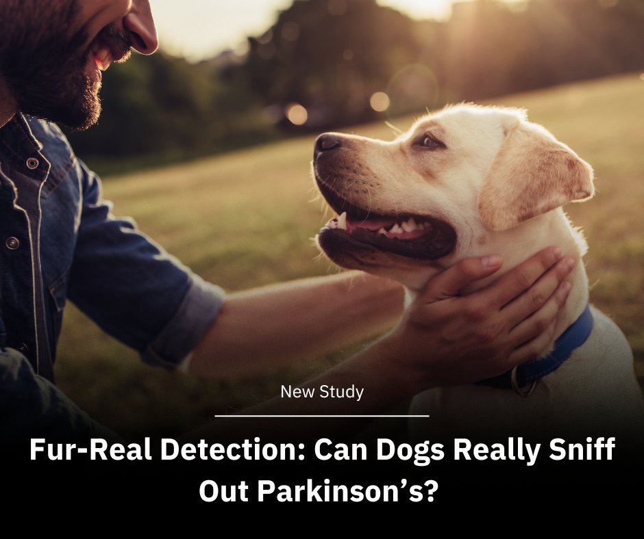 FixelInstitute's tweet image. Two dogs sniffed out Parkinson’s with up to 80% accuracy—just by smelling skin swabs. A UK study from University of Bristol, University of Manchester, and Medical Detection Dogs reveals the surprising power of canine noses in early detection.
Learn more! pubmed.ncbi.nlm.nih.gov/40659046/