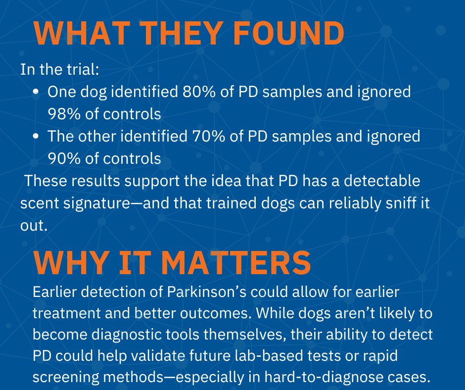 FixelInstitute's tweet image. Two dogs sniffed out Parkinson’s with up to 80% accuracy—just by smelling skin swabs. A UK study from University of Bristol, University of Manchester, and Medical Detection Dogs reveals the surprising power of canine noses in early detection.
Learn more! pubmed.ncbi.nlm.nih.gov/40659046/
