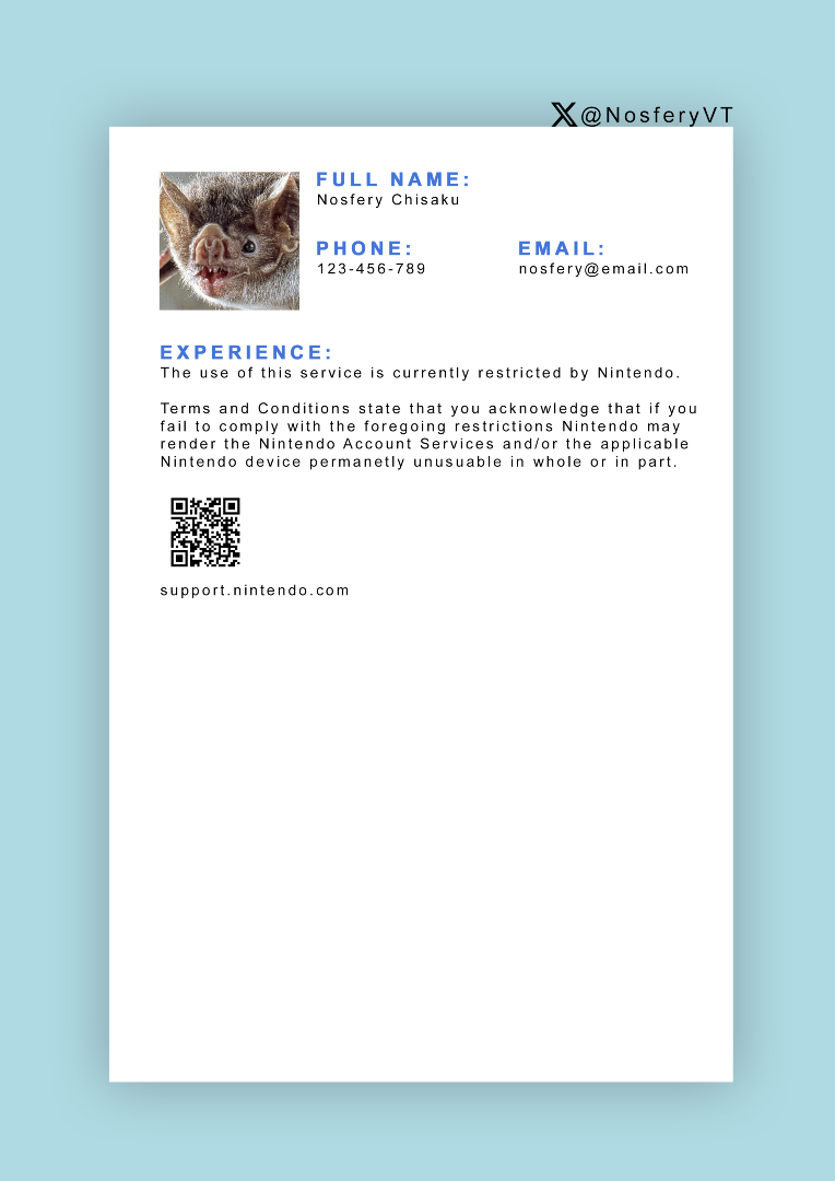 NosferyVT's tweet image. Guys, I want to send my resume to Nintendo but I'm not sure if I did it properly.
Can you guys give it a quick review? I'm so nervous...
#nintendobricking
