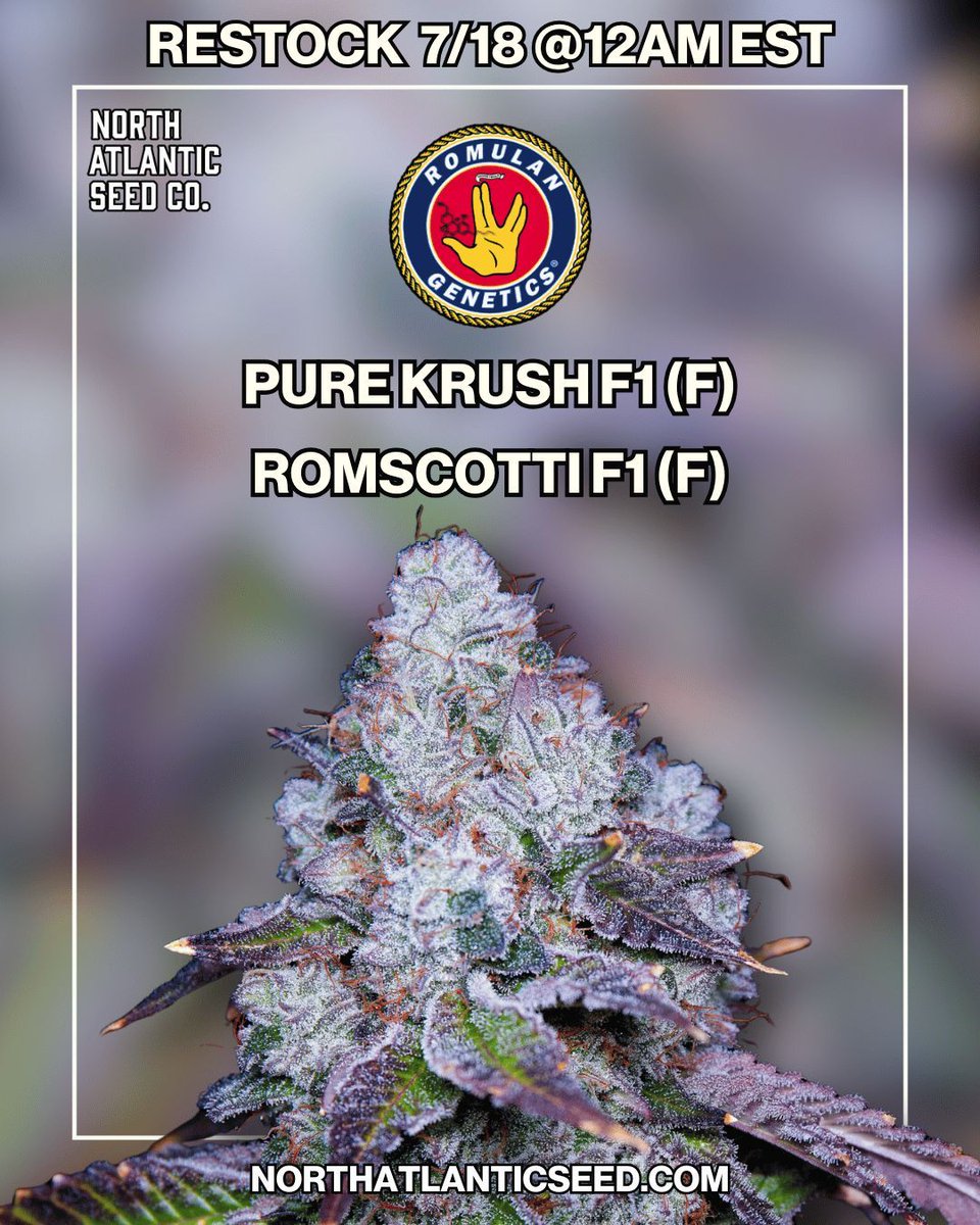 Romulan Genetics Restock Available Now 🖖 

Pure Krush F1 (F) &amp; Romscotti F1 (F) 🚨

No sales through social media!