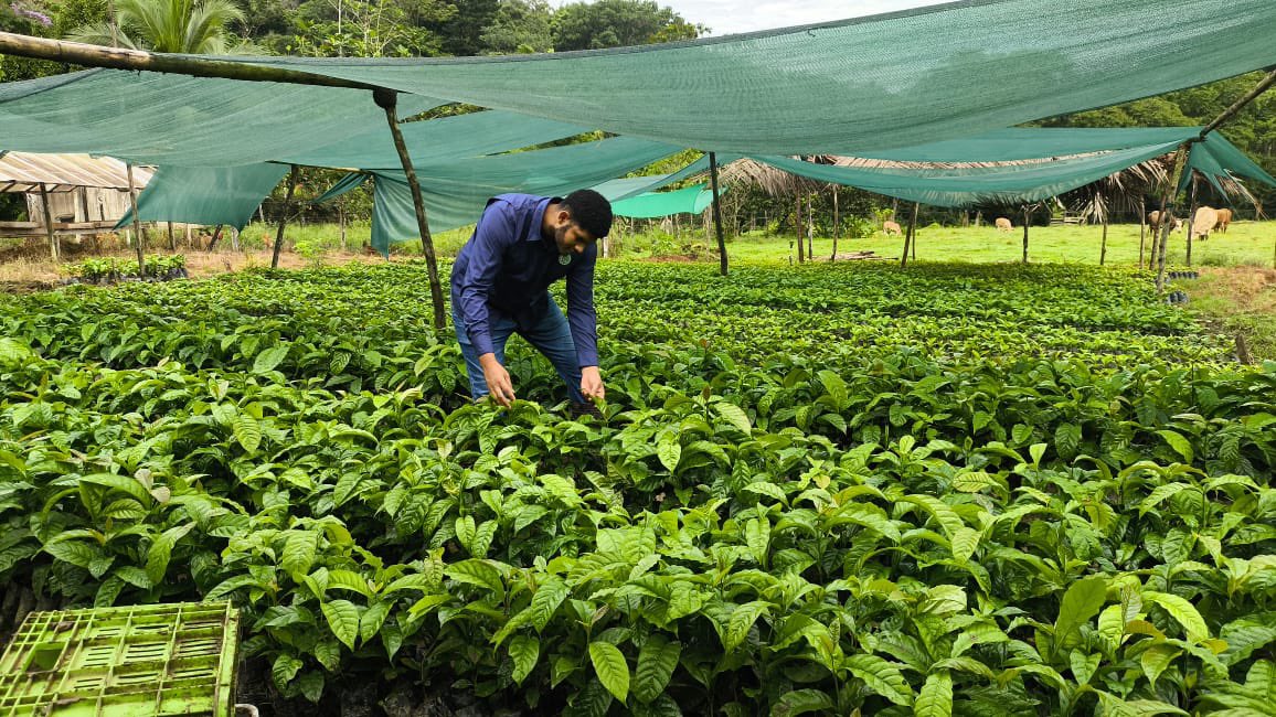 ☕🌱 Impulsando el café y el desarrollo rural en la Comarca Ngäbe Buglé

El BDA, a través de su Regional en Bocas, realizó la entrega de plantaciones de café al micro productor Dionicio Stevenson, en el distrito de Jirondai.
#BDAgroInfo 
#ConPasoFirme
#Mulino365