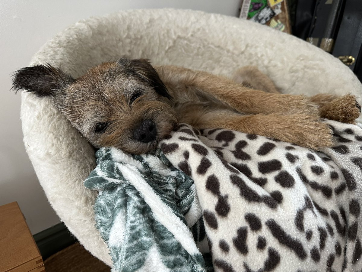 Just Bonding it up pals, sending love to all #BTPosse pals and having a wee Friday thought for all the pals OTRB and sending love to their folks 🌈