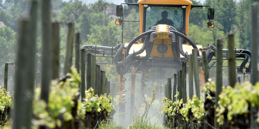 💥 Le #cuivre en bio ?
✅ Autorisé car irremplaçable (mildiou).
⚠ Accusé de polluer… mais utilisé à plus forte dose en bio qu’en conventionnel.
🚫 L’interdire sans alternative? C’est tuer la filière bio.
👉 L’ANSES le dit : pas de plan B sans casse. 
anses.fr/fr/content/cui…