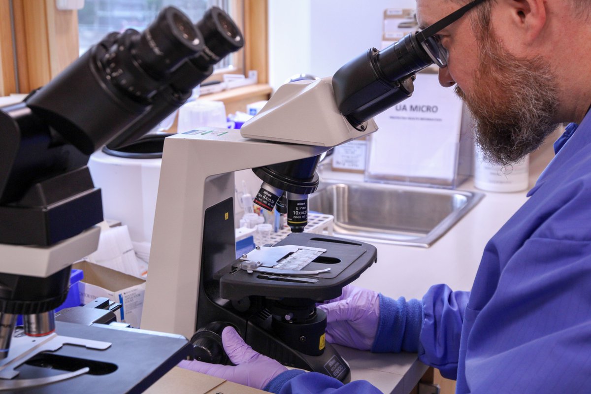 SEARHC labs receive national recognition, ranking them in the top 1% of labs across the country. They’ve received prestigious honors by both the College of American Pathologists (CAP) and Commission on Office Laboratory Accreditation (COLA). Read more at: searhc.org/searhc-laborat…