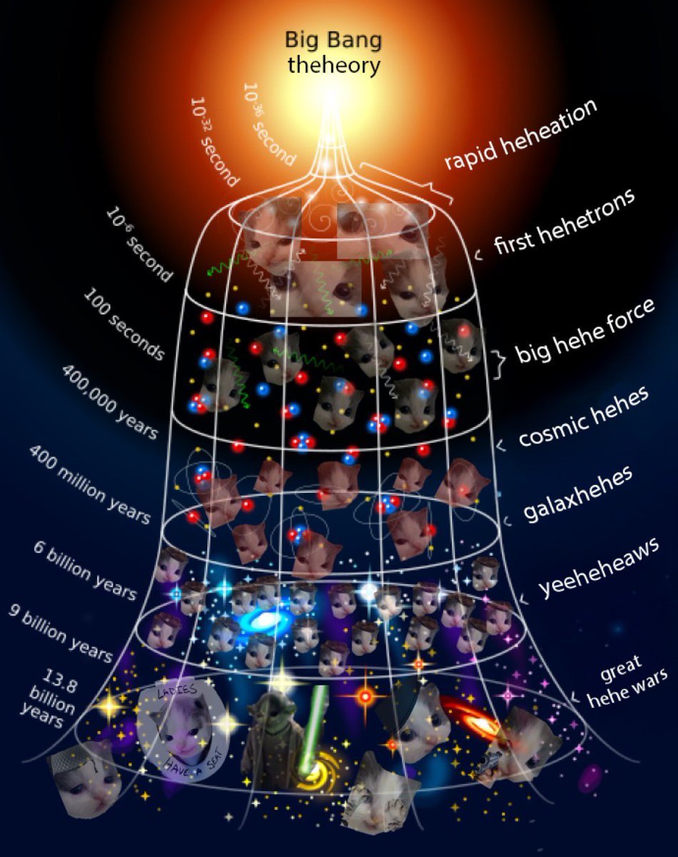 Big Bang Theheory of tokenized cats