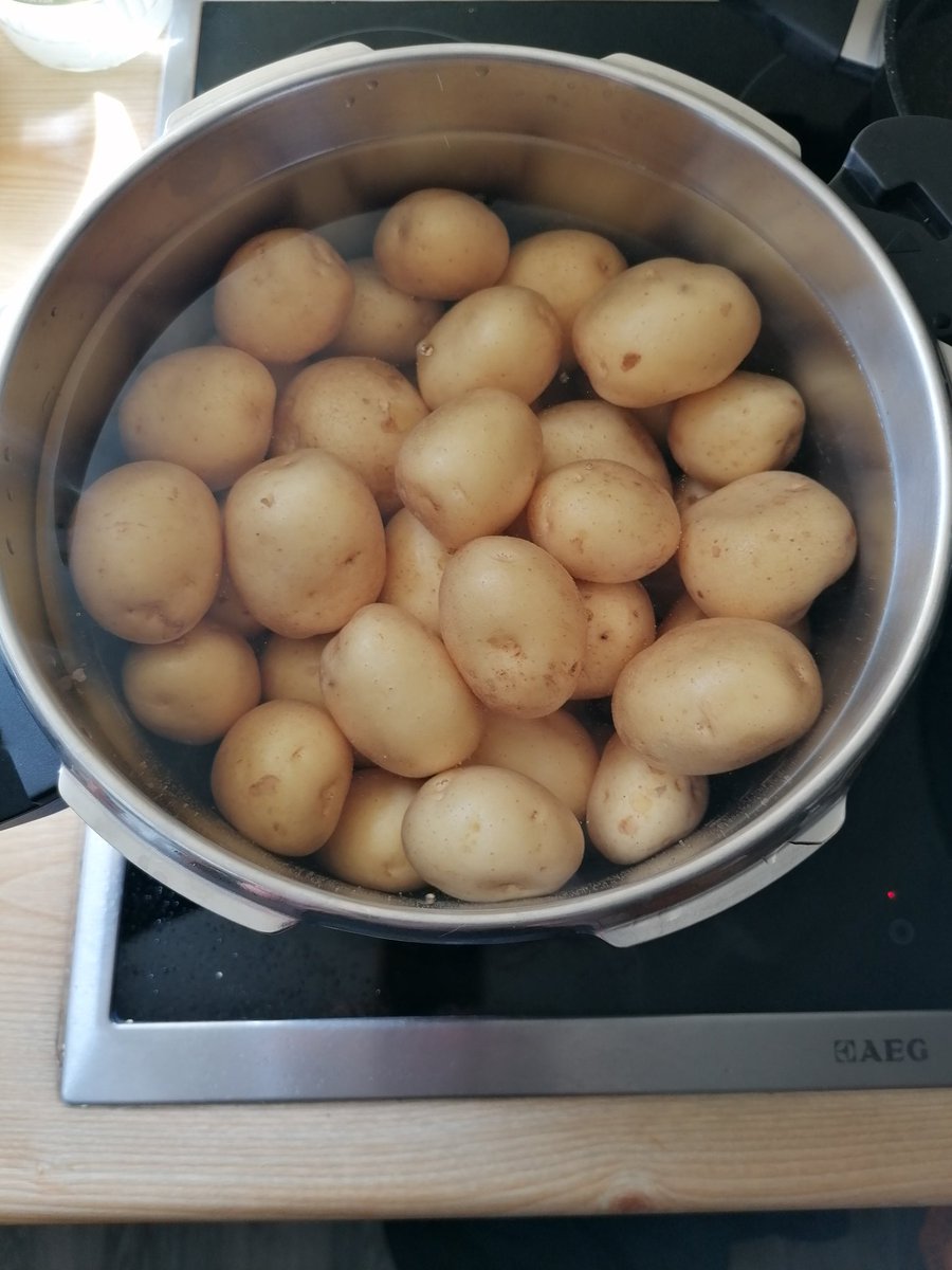 ZwitschTwitt's tweet image. Vorbereitung abgeschlossen, nun darf es über Nacht einziehen. 😋😋