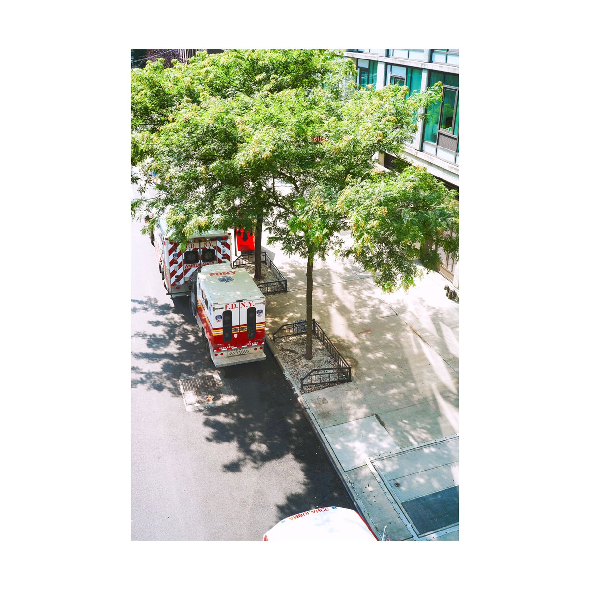 showmeNY2's tweet image. FUJIFILM GFX50R
MINOLTA M-Rokkor 40mm f/2.0