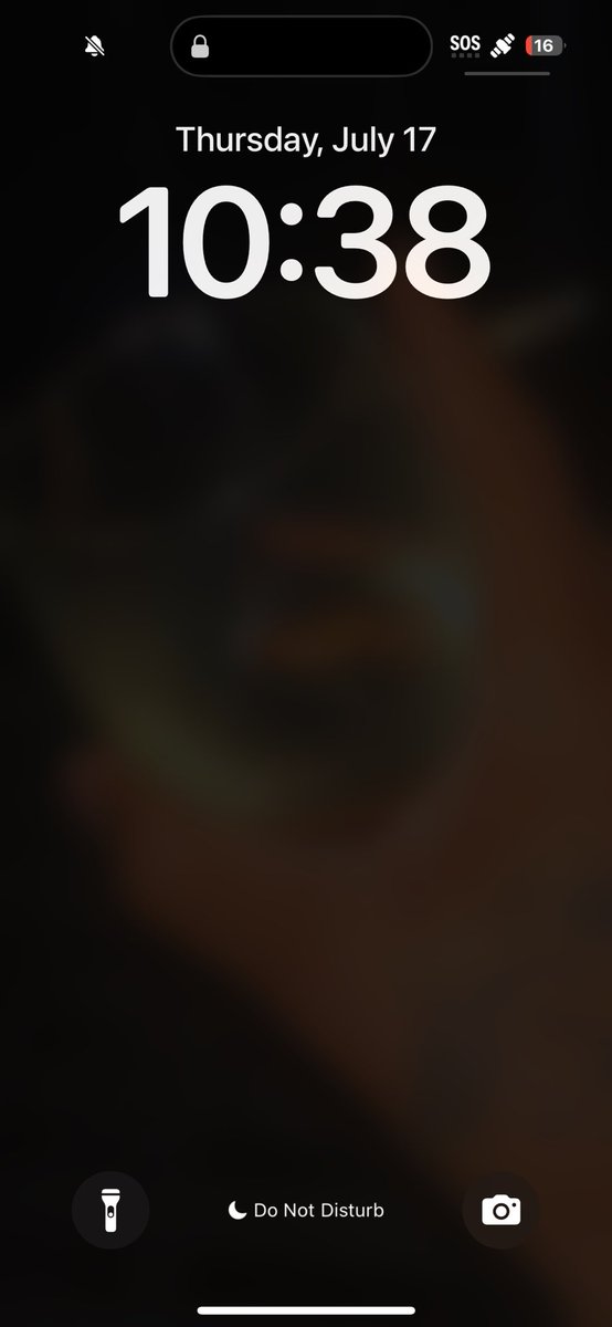 I be taking mad screenshots of my Home Screen by accident year round.