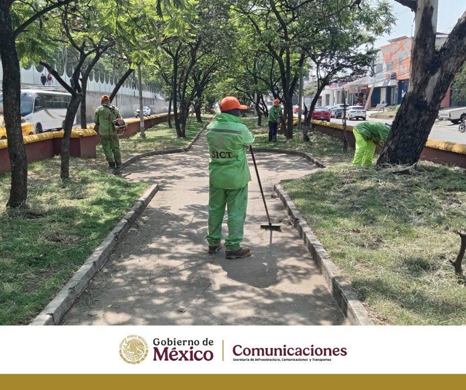 El Centro #SICTOaxaca, mediante la cuadrilla de conservación rutinaria, realiza trabajos de limpieza en el camellón central del tramo El Fortín-El Tule, en la carretera 190 Oaxaca-Tehuantepec.

Estas labores contribuyen a mejorar la visibilidad, la seguridad vial y el buen estado