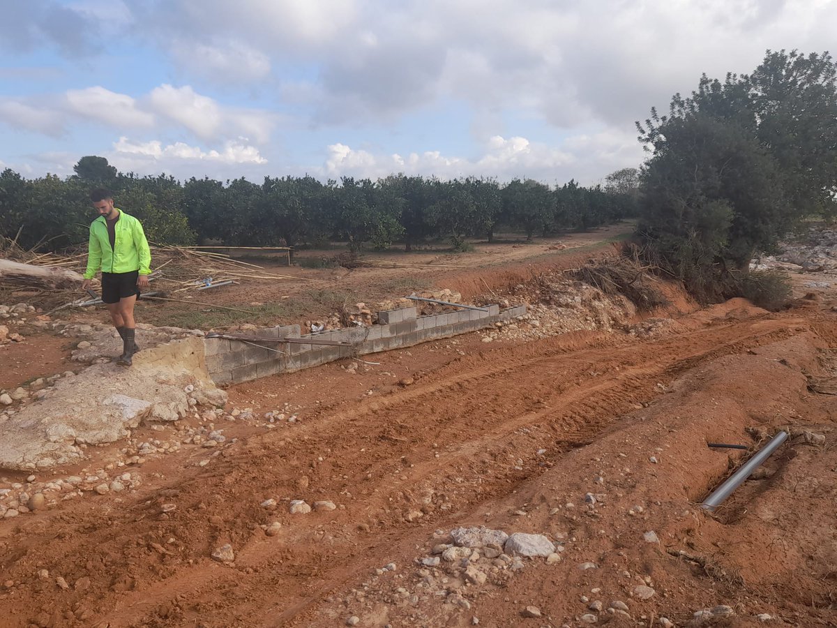 El <a href="/gobmapa/">Ministerio de Agricultura, Pesca y Alimentación</a> publica un listado de beneficiarios de 43 millones de euros en ayudas para reparar daños causados por la dana

agronewscomunitatvalenciana.com/el-ministerio-…