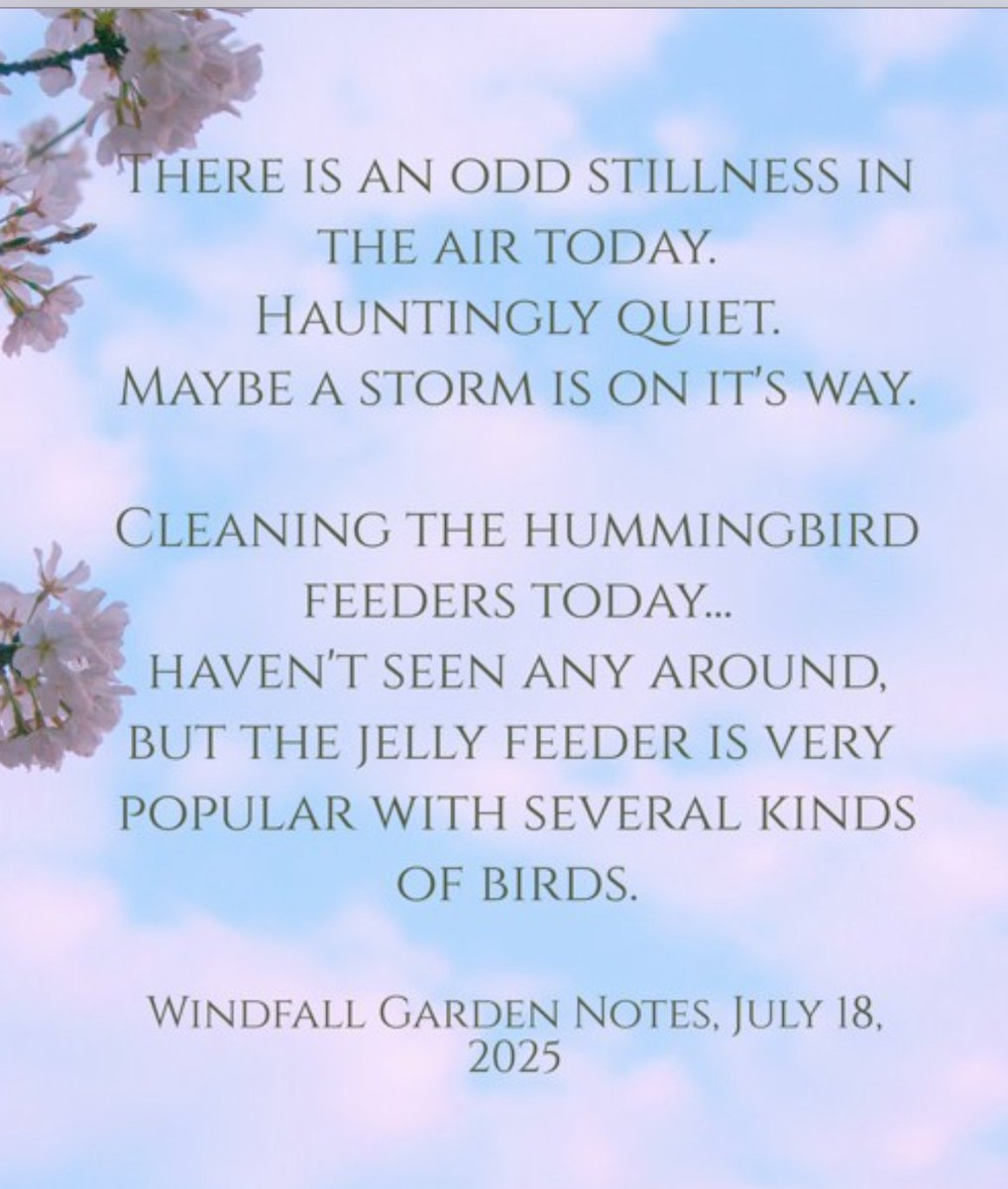 WindfallGarden's tweet photo. Windfall Garden, right afterwards a male Rubythroated hummingbird appeared about 7 feet above me hanging the feeder! https://t.co/nU5bdAZU8u