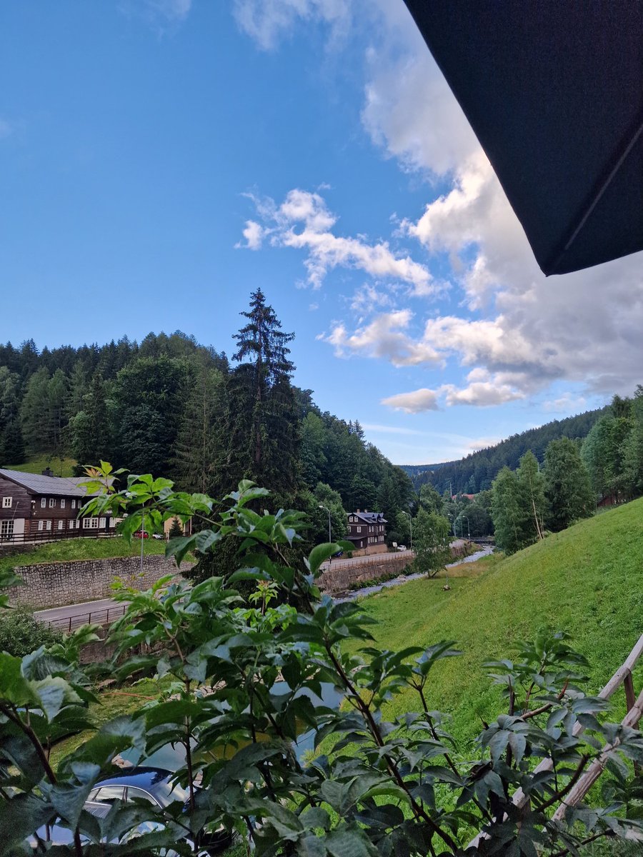 el_latiere94's tweet image. La belle vie #macronOut