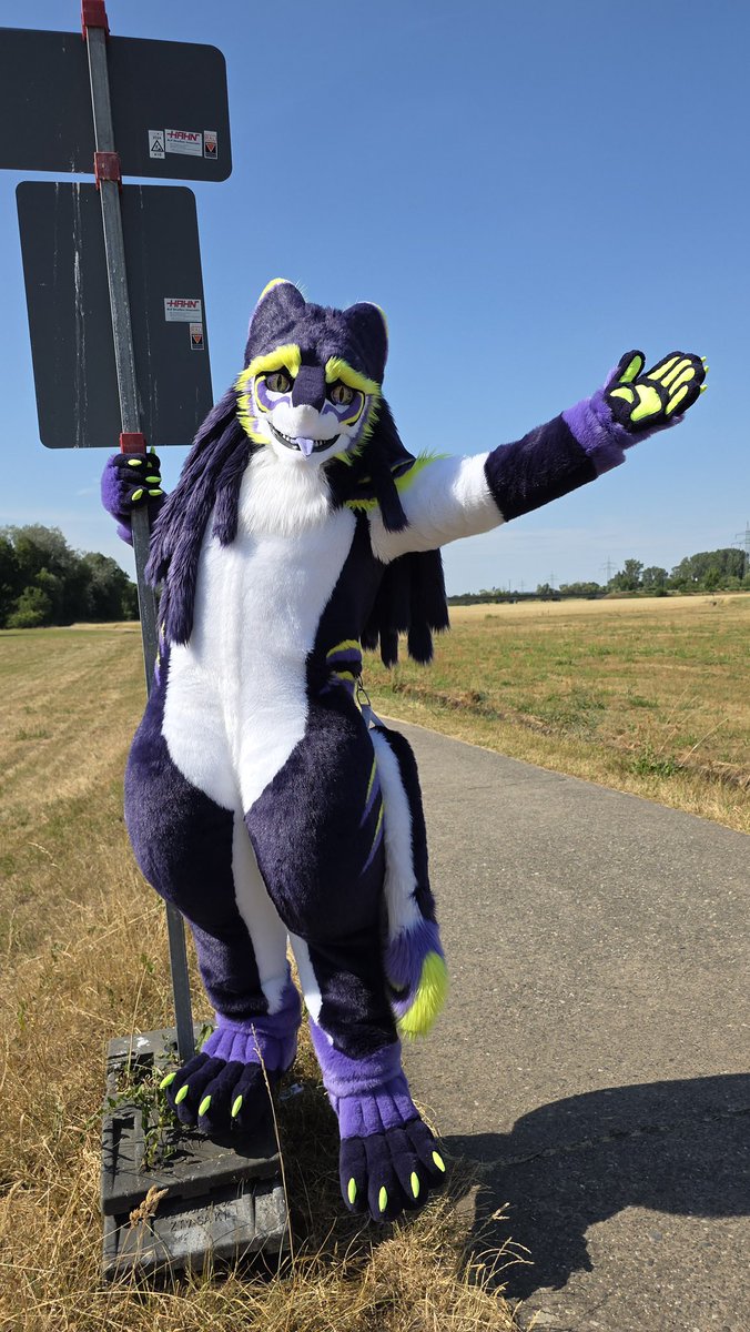 Ceneca (@cenecasergal) on Twitter photo Aye captain, weekend ahead
#FursuitFriday
🎞️🪡 <a href="/whitewingsuits/">Whitewing Creations</a>
#Sergal #Cheese #Fursuit #Furry #Furryfandom #Fursuiting #FursuitEveryday Aye captain, weekend ahead
#FursuitFriday
🎞️🪡 <a href="/whitewingsuits/">Whitewing Creations</a>
#Sergal #Cheese #Fursuit #Furry #Furryfandom #Fursuiting #FursuitEveryday
