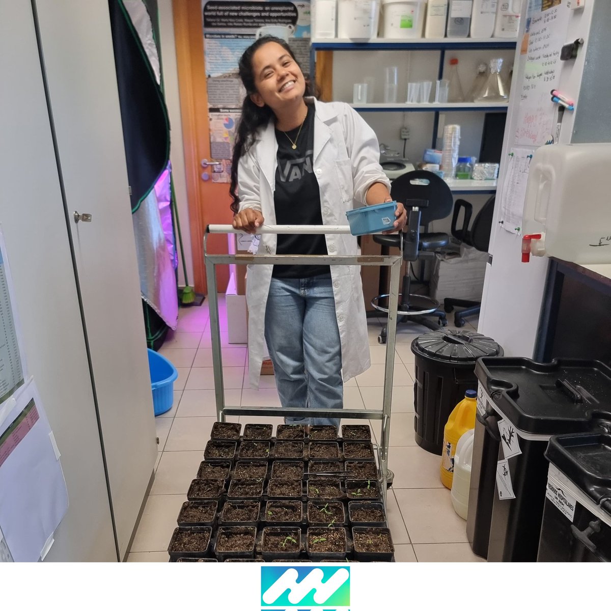 iPlantMicro's tweet image. After lots of hard work, it’s time for testing! 🌱🍅🧂🦠 Kusum is now evaluating SynComs developed based on stress-induced exudate profiling and their effects on soil microbiota. Excited to see what the results reveal!
@iPlantMicro @greenit_bio4sus @istecnico