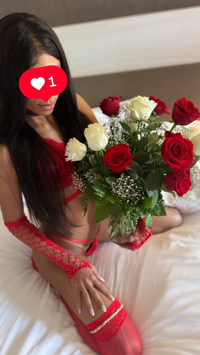 perolared6's tweet image. "May the scent of roses perfume the life of those who observe it." 🌹
📧 perolared6@outlook.com
📍Dallas