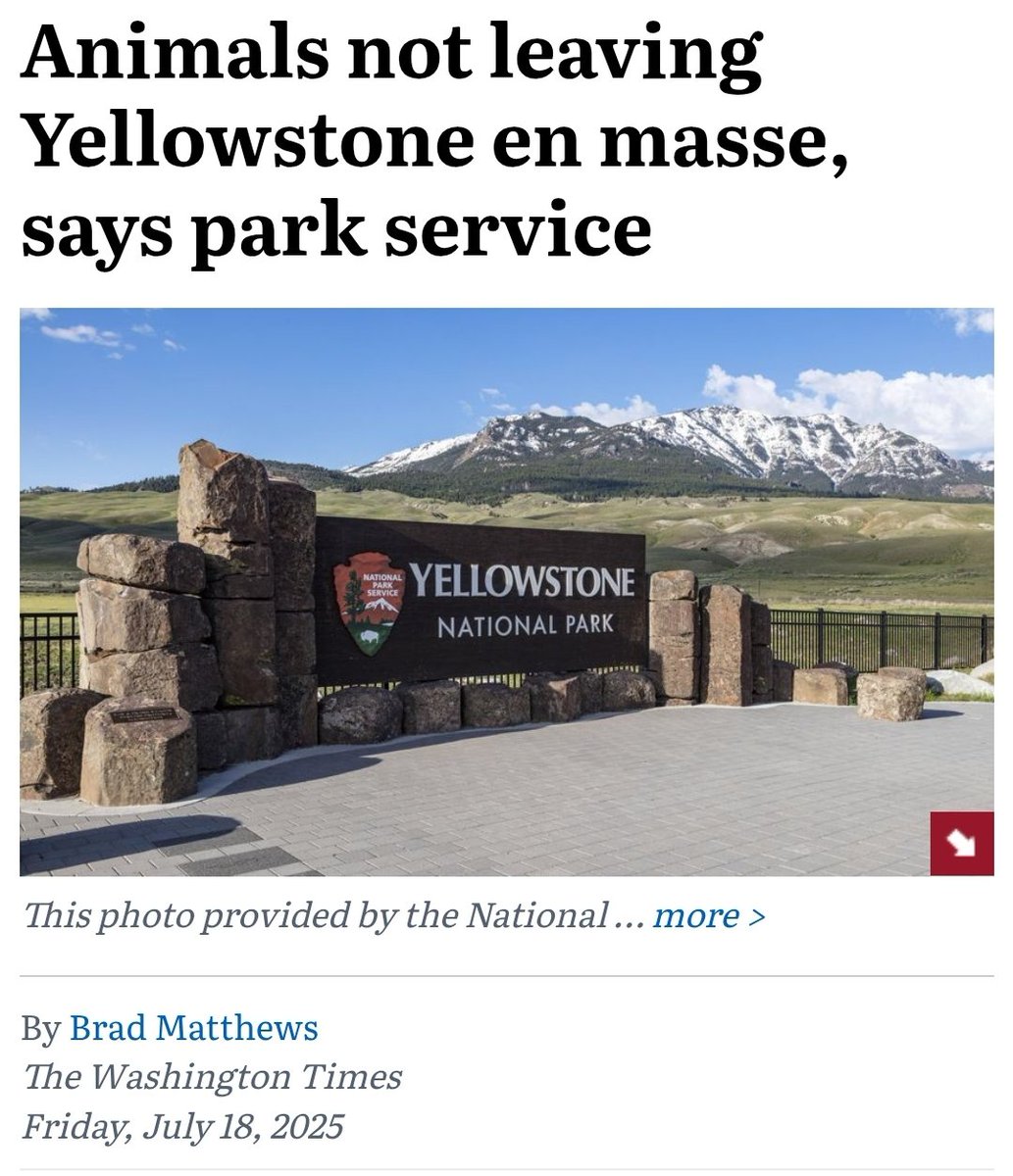 DavidDarlingCA's tweet image. The recent TikToks got me wondering.
Is there a thriller novel about Yellowstone being the target of a large-scale detonation site? The repercussions would be devastating... sounds familiar.