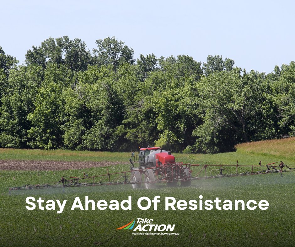 arkansassoybean's tweet image. Soybean farmers battle pigweed, nematodes and pests that cut yields: the right tools and a plan matter. The United Soybean Board’s #TakeAction resources can help you manage resistance season after season.
Learn more: monkeylink.co/ec0168
#ArkansasSoybeans #ArkansasProducer