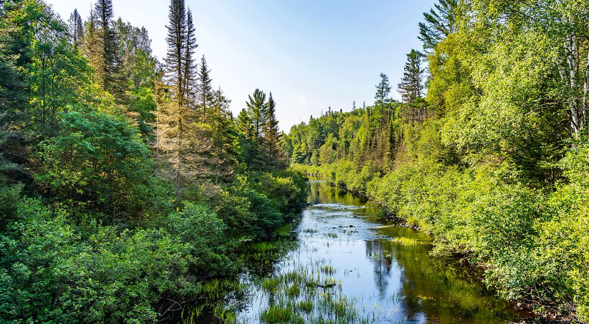 treemissions's tweet image. "Nature is not a place to visit, it is home."
— Gary Snyder
