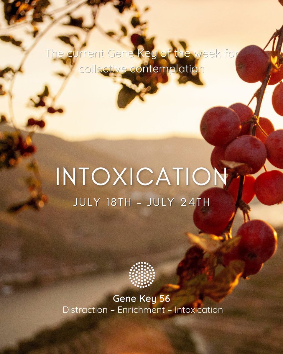 gene_keys's tweet image. The Pulse – 18 Jul to 24 Jul  –This week we dive into Gene Key 56 and the Gift of Enrichment. What will you do this week that is truly enriching for your soul?

Listen to the audio:  genekeys.com/pulse/56-intox…

#genekeys #genekey56 #enrichment #intoxication #thepulse