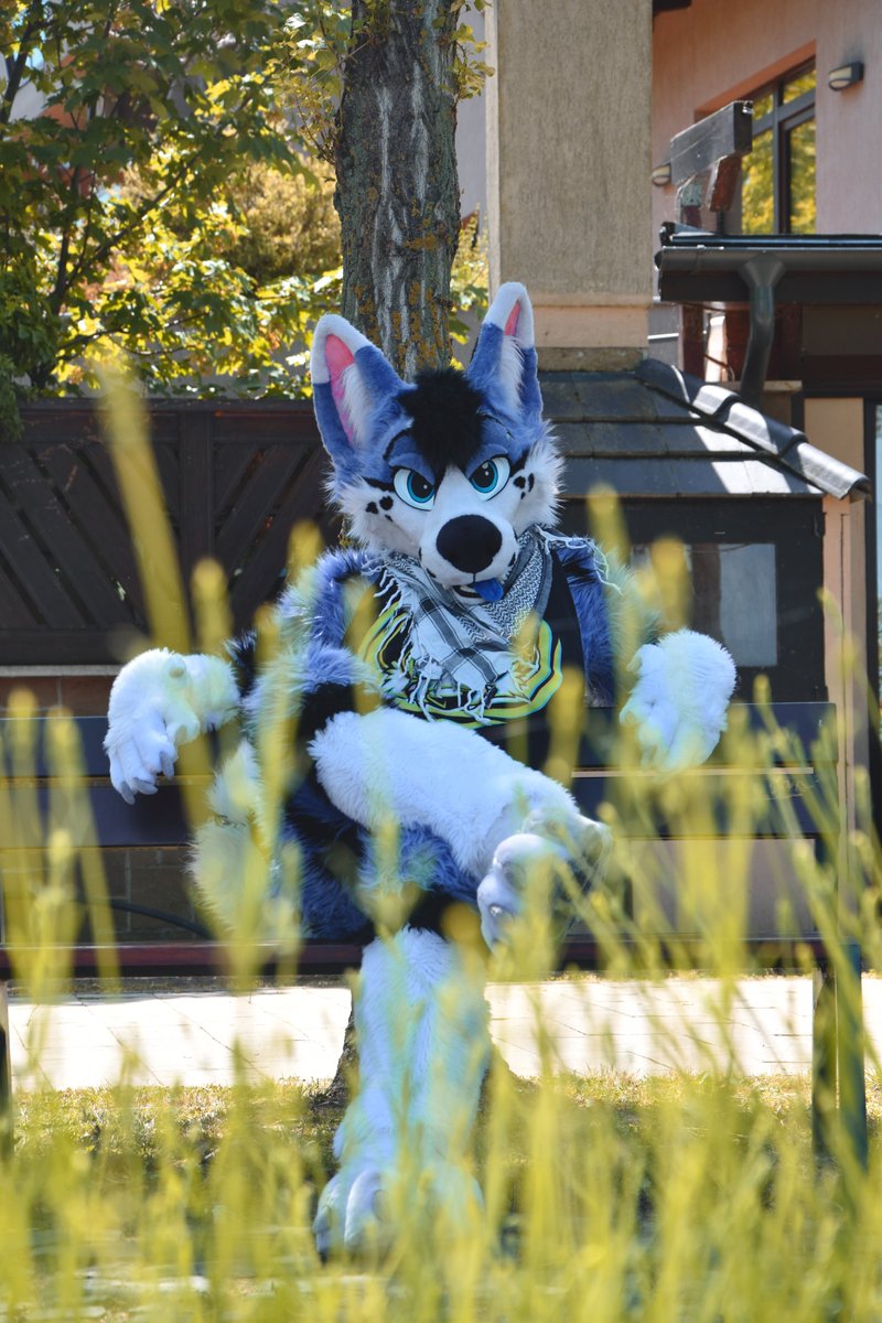 "You thought I didn't see you there huh? Hiding in the grass, waiting for #FursuitFriday?"