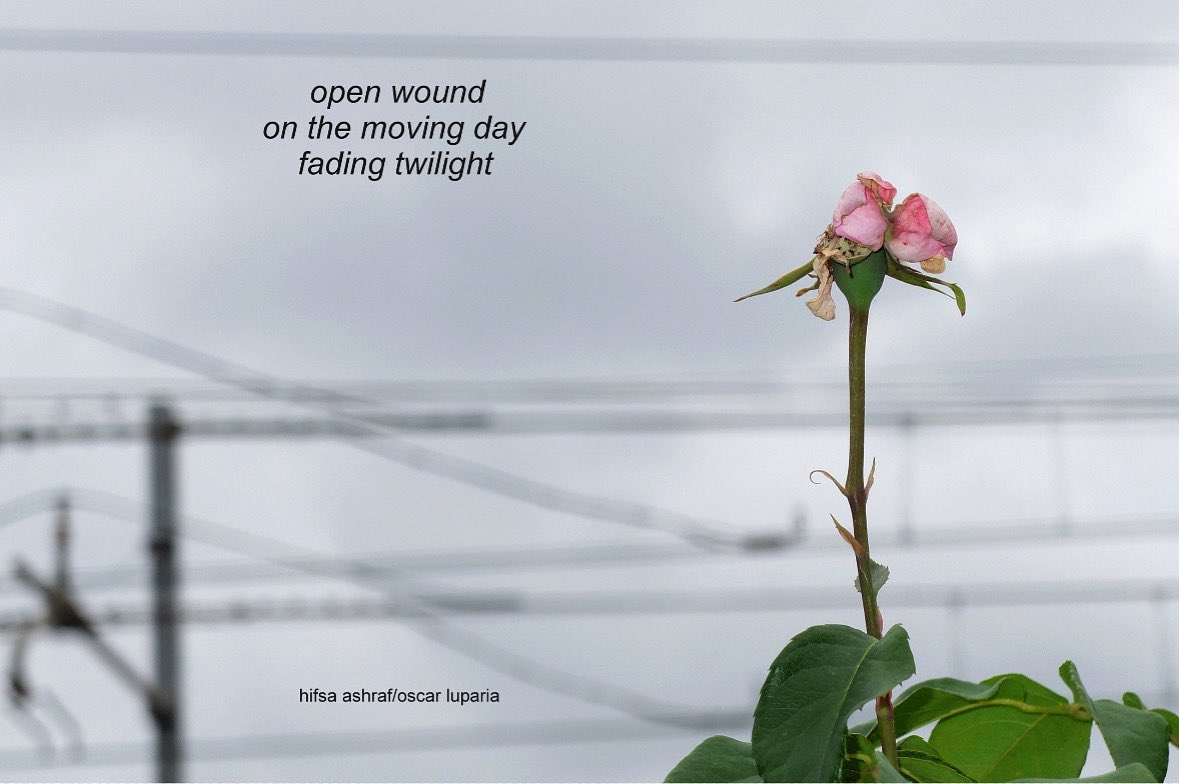 FreshoutMag's tweet image. #collaborative #shahai with #haiku by Hifsa Ashraf @hifsays and Oscar Luparia #poetry #poetrycommunity #open #poetrylovers #micropoetry #photography #movingday #poem #twilight #photo #photooftheday #photographylovers #pakistan