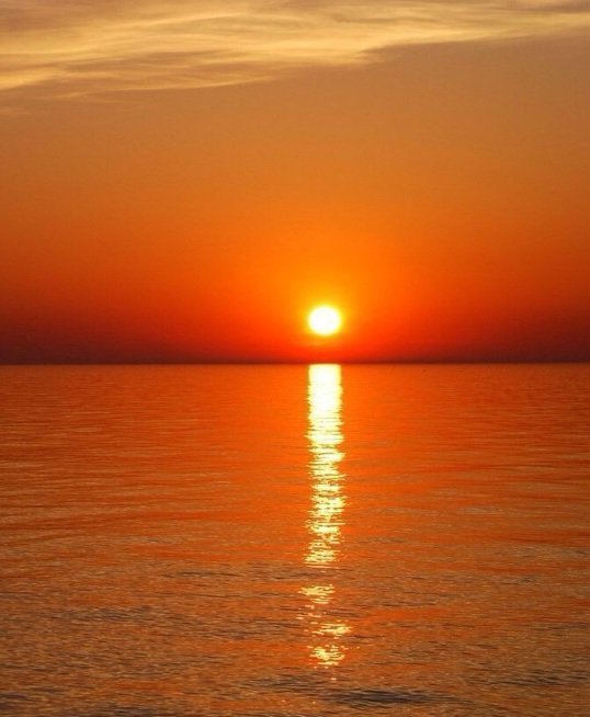 Катерина Галич tweet media