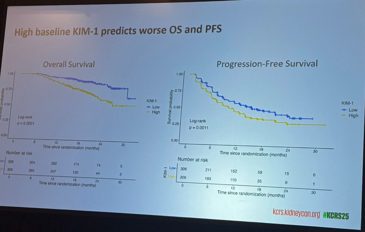 Clara Steiner (@clara__steiner) on Twitter photo A sharp and insightful talk at #KCRS25 about KIM-1 in JAVELIN Renal 101 by my dear colleague <a href="/MarcMachaalani/">Marc Machaalani, MD</a> — another key step in the evolving story of KIM-1 in RCC with more to come!!
<a href="/VincentWenxinXu/">Wenxin (Vincent) Xu</a> <a href="/DrChoueiri/">Toni Choueiri, MD</a> A sharp and insightful talk at #KCRS25 about KIM-1 in JAVELIN Renal 101 by my dear colleague <a href="/MarcMachaalani/">Marc Machaalani, MD</a> — another key step in the evolving story of KIM-1 in RCC with more to come!!
<a href="/VincentWenxinXu/">Wenxin (Vincent) Xu</a> <a href="/DrChoueiri/">Toni Choueiri, MD</a>