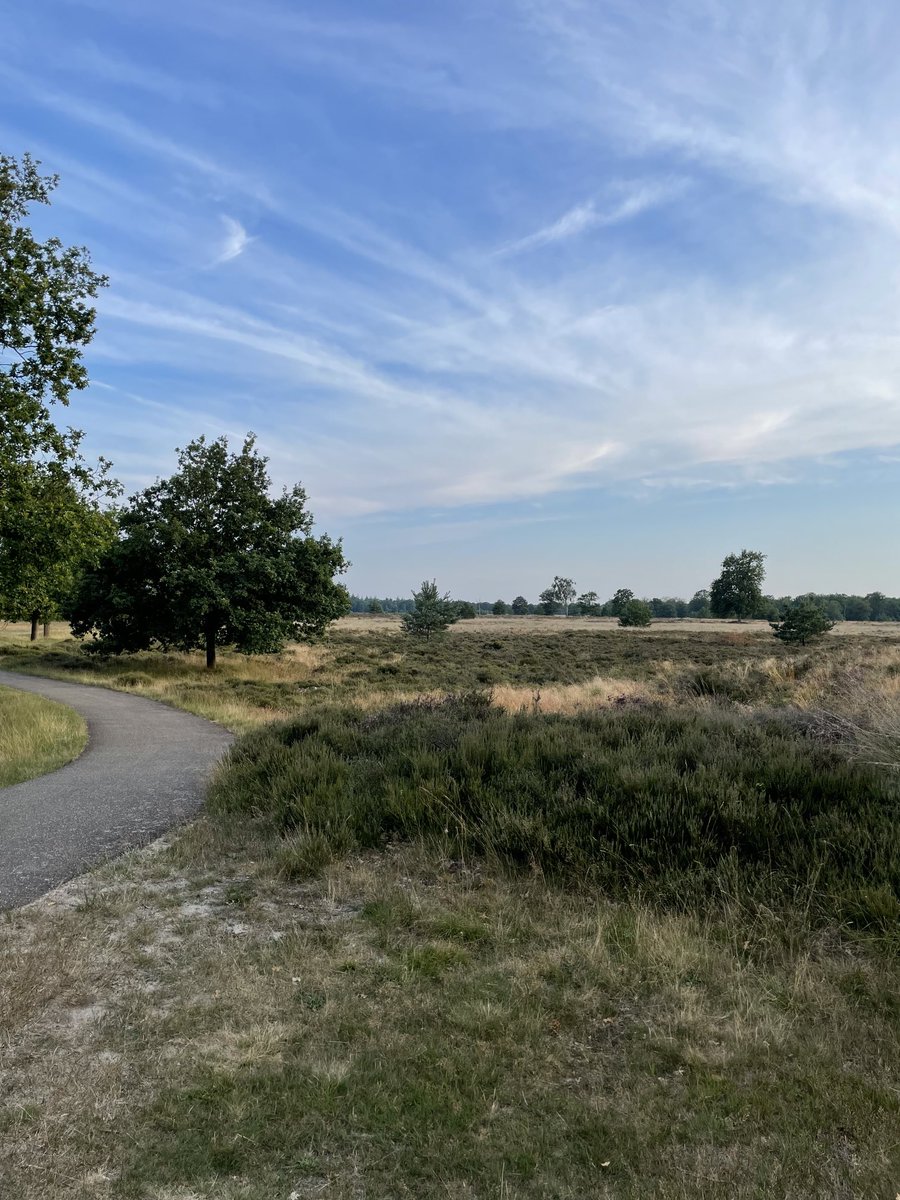 Rondje racefiets in de Drentse achtertuin; waarom gaan we eigenlijk op vakantie? ⁦<a href="/marketingdrenth/">Marketing Drenthe</a>⁩