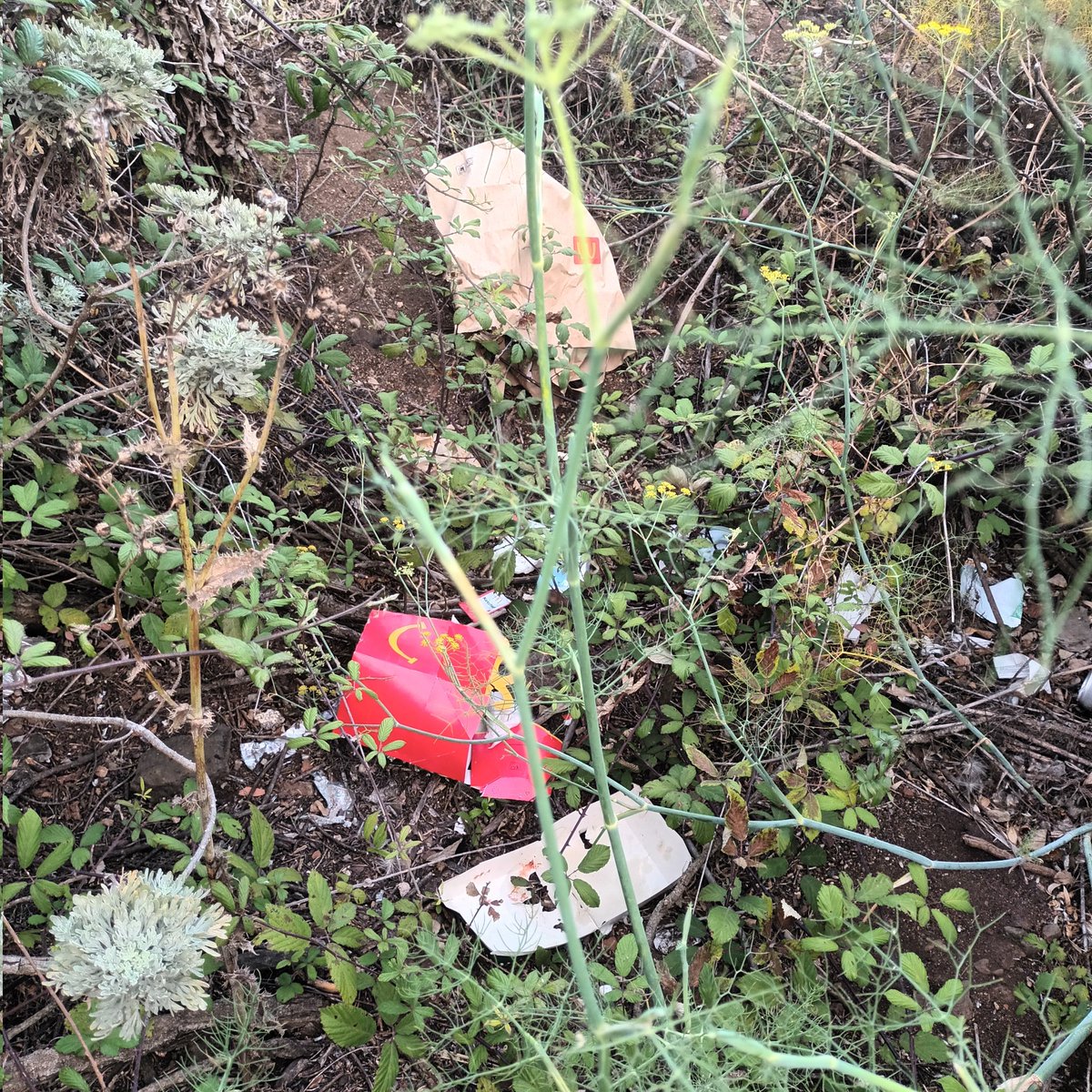 Los que comen comida basura no suelen discernir las diferencias entre un monte y un basurero.Puede más el segundo cerebro,el intestino,que el que tienen para pensar.La comida basura es la de la"M",aunque en este ejemplo da lo mismo unas que otra.