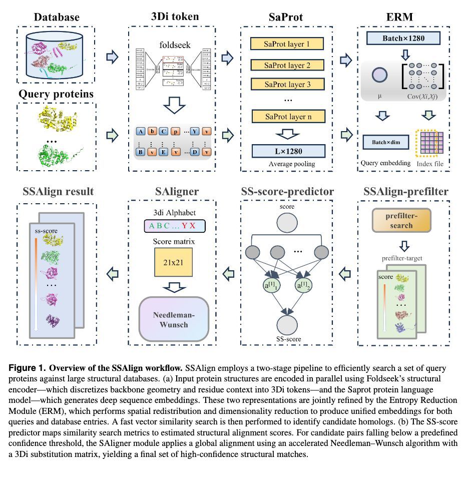 strnr's tweet image. SSAlign: Ultrafast and Sensitive Protein Structure Search at Scale biorxiv.org/content/10.110… 🧬🖥️🧪 github.com/ISYSLAB-HUST/S…