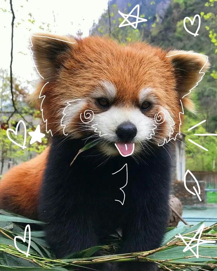 ameszns's tweet image. hii I’m ame ✧.*
•03’
• gamer (mostly league and valo) EUW!!
• she/her
• anime, kdrama, mcu fan
• 24/7 music, books, art
~dm’s open

♡ or ↻ to be moots

#valtwt #marveltwt #gamingtwt #leaguetwt #owtwt #promotwt #moothunt
