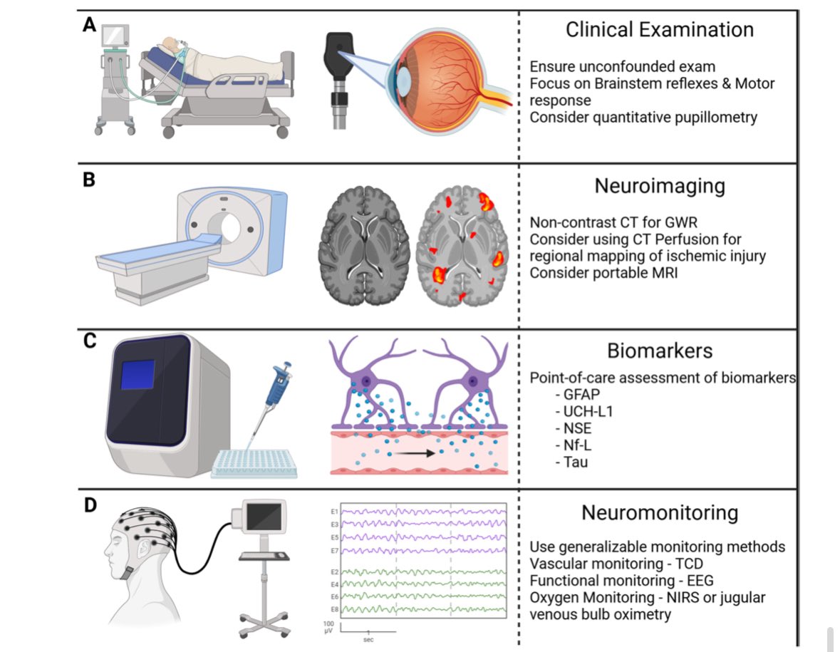 Individualized care in cardiac arrest!