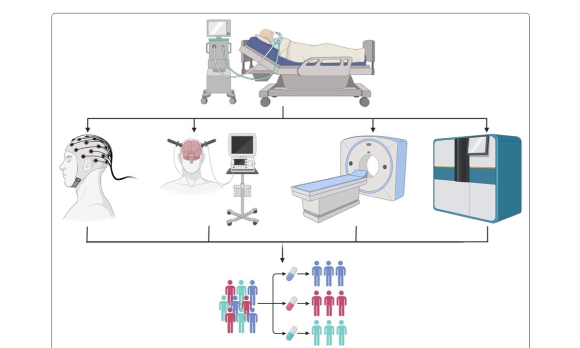 chiara_robba's tweet image. Individualized care in cardiac arrest!