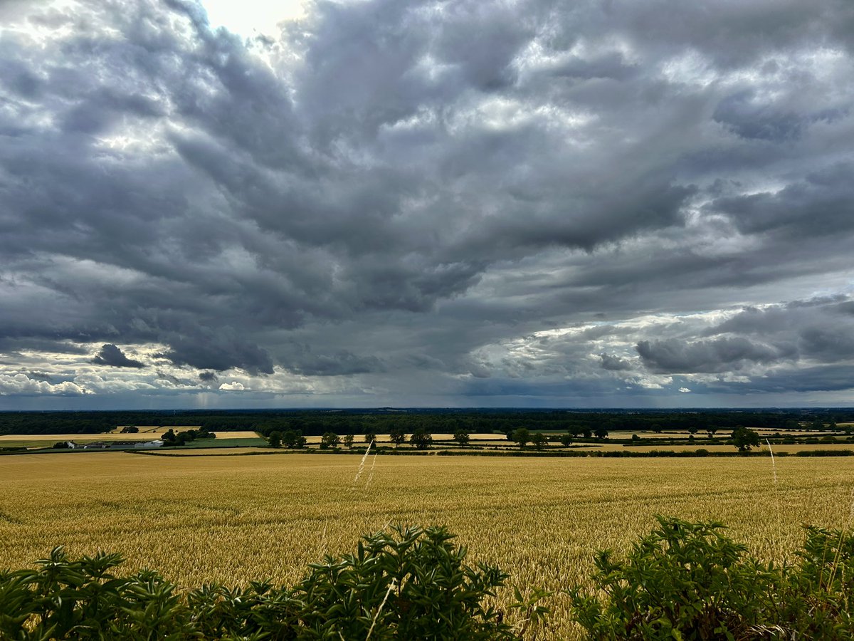 WeatherWolds's tweet image. Storm Rolling In. 20°C and very humid. Swifts darting.