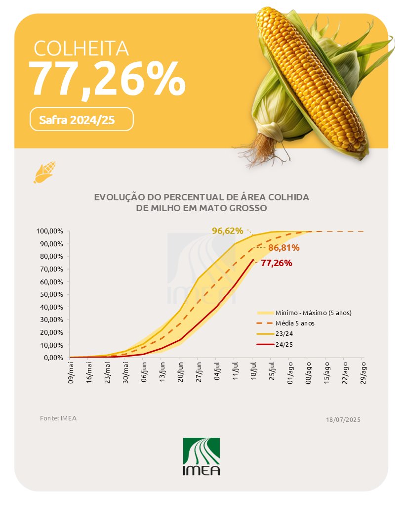 🚨 COLHEITA
18 de julho de 2025.

Em Mato Grosso, a colheita do milho avançou 19,70 p.p. no comparativo semanal e atingiu 77,26% da área estimada para a safra 2024/25 até o dia 18/07. 

📲 Acesse o informe na íntegra no site.

#imea #colheita #matogrosso