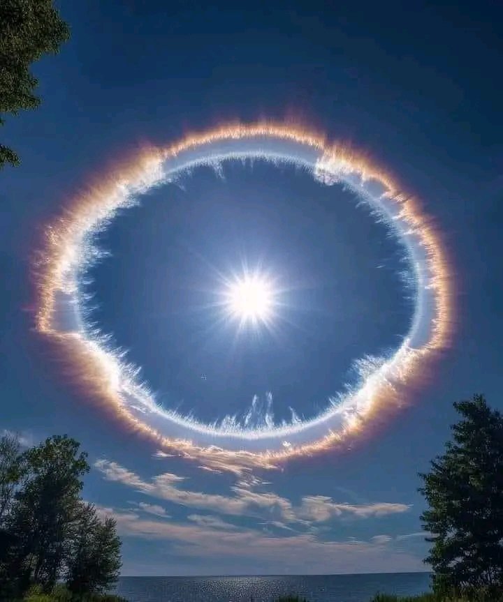 amazing_physics's tweet image. 🔥🌫️ Rare ‘Halo of Fire’ Over Alaska
An eye-shaped ring of light appeared in the Alaskan sky — formed by sunlight hitting ice crystals high in the atmosphere.
A fiery, glowing illusion that felt like the sky was watching.