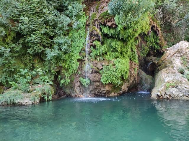 Zore Çayı Yaşatma Platformu tweet media