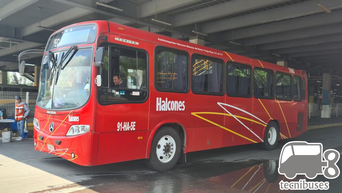 Tecnibuses_1's tweet image. Unidad de Autotransportes Halcones Blancos del Norte Franja Roja en el Paradero del @MetroCDMX Rosario, tiene destinos en el Estado de México e Hidalgo como Tepeji del Río, Jilotepec entre otros, el modelo con el que más trabaja es el @MBenzBusesMx Torino.
#tecnibuses