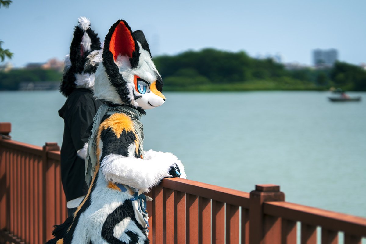 来一勺枫糖浆ww tweet media