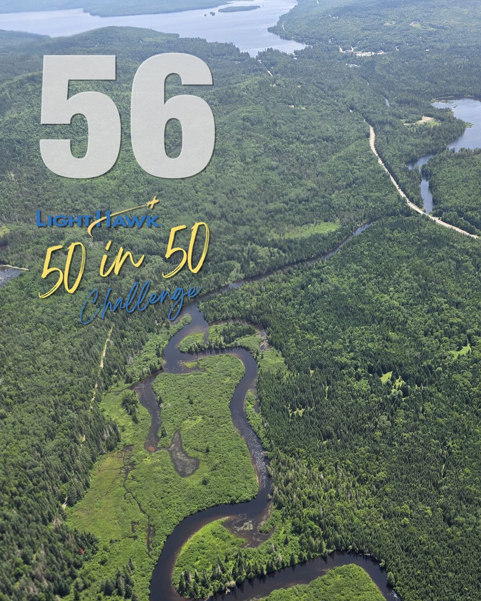 lighthawk_org's tweet image. 🛩️ FLIGHT 56 was the FINAL flight of our #50in50Challenge—and the perfect way to end.

Jason Latham with Rangely Lakes Heritage Trust said:

“That was the best flight I've ever been on… it reminded me of why I chose conservation as a profession.”

That’s why we fly.
#LightHawk