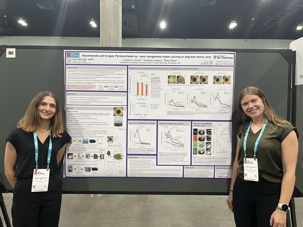 TommieXCTF's tweet image. Elizabeth Gregory is sparking science this summer💜
She’s working in Xcel Energy’s chemistry department and went to L.A. to present her microbiology research at a national conference
#RollToms