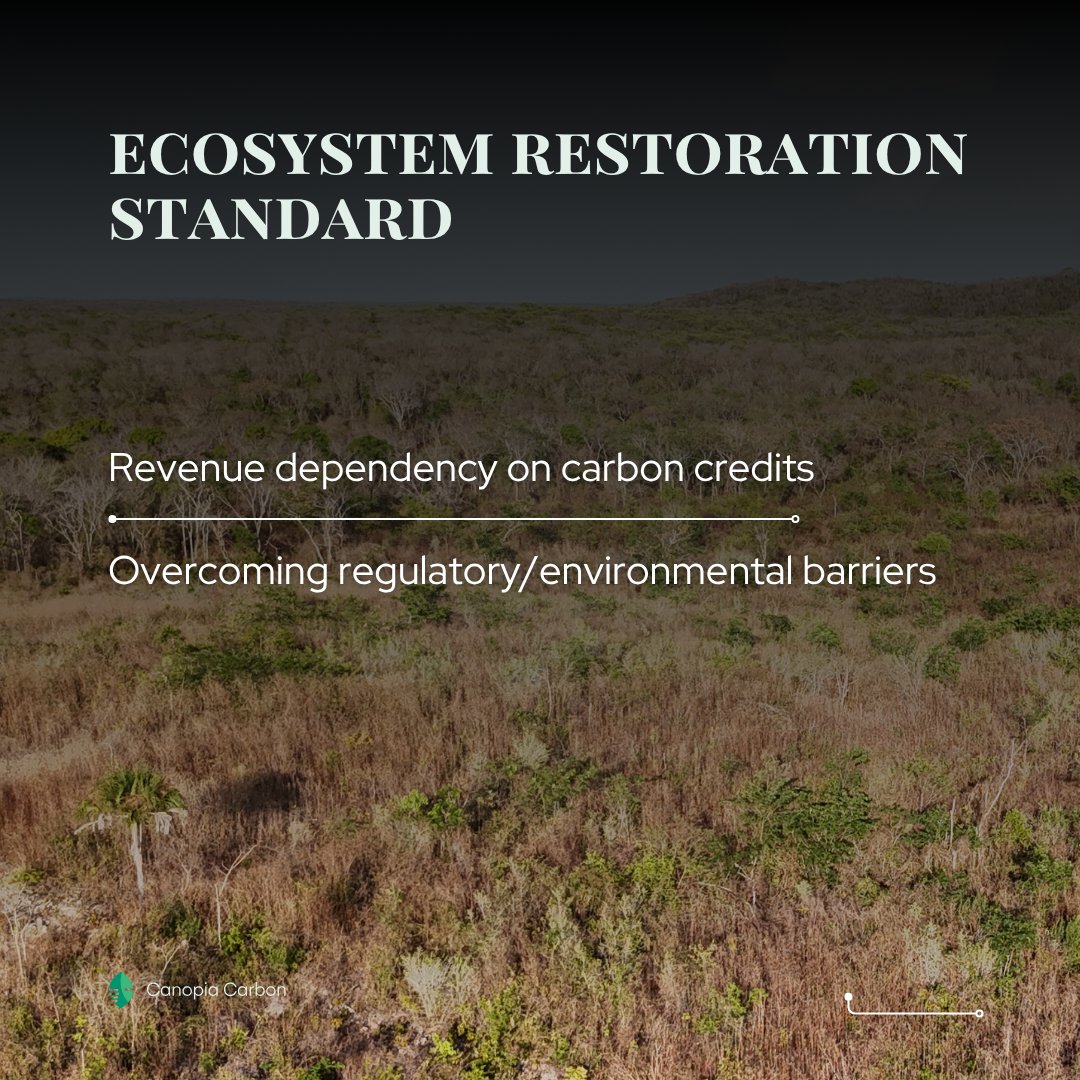 canopiacarbon's tweet photo. Not all carbon credits are equal. Additionality proves emissions cuts wouldn’t happen without carbon finance:

✔Financial need
✔Beyond regulations
✔Overcoming barriers

No additionality = accounting fiction, not climate action.

#CarbonMarkets #ClimateIntegrity #Additionality https://t.co/WvTJfGe03M