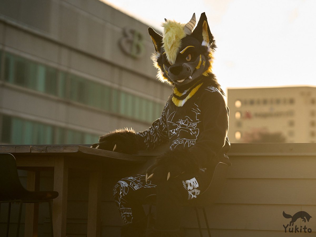 Gonna be, gonna be ✨ golden ✨
Oh, I’m done hidin’, now I’m shinin’

📸: <a href="/YukitoTheFox/">❄️Yukito❄️</a>
