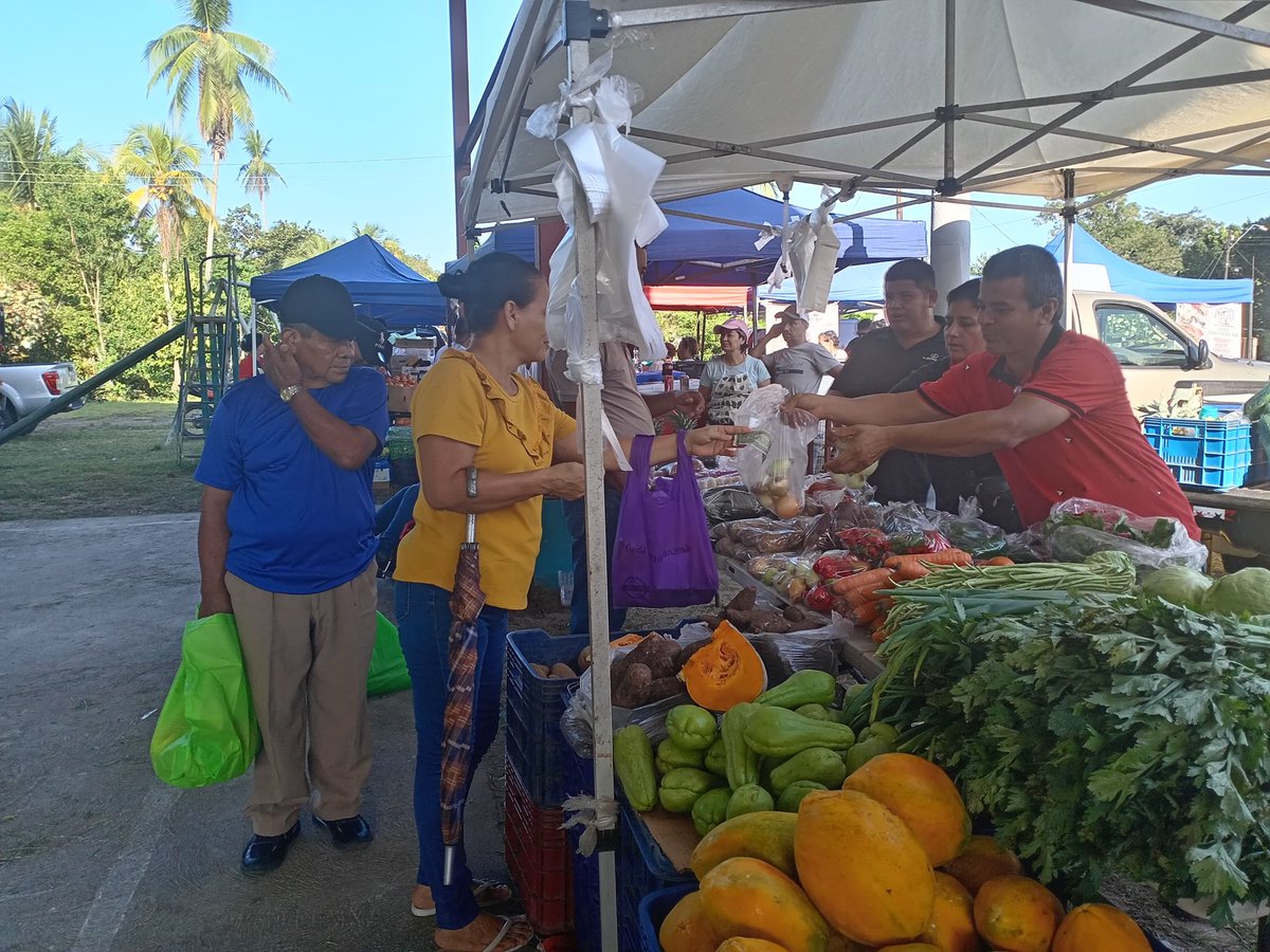 IMA_Pma's tweet image. La agroferia del IMA se trasladó a La Esperanza, corregimiento de Baco, en Barú, donde se atendieron 500 consumidores.
En total, se ofertaron 10 mil libras de arroz, además de los diferentes productos que ofrece el IMA.
#ConPasoFirme