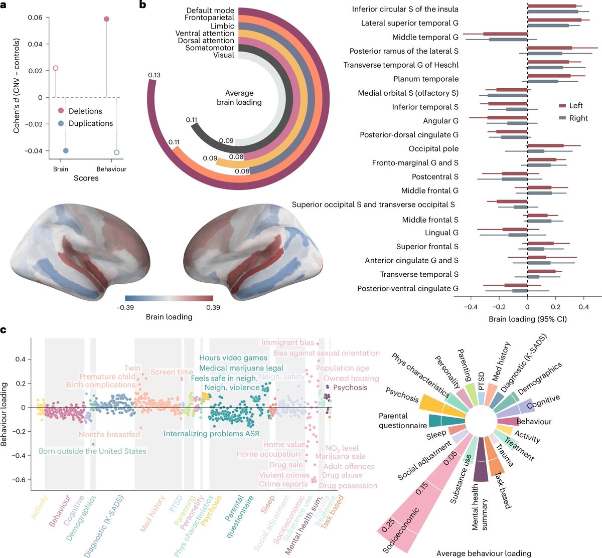 How do rare genetic mutations that affect multiple genes simultaneously shape brain development and behavioral outcomes in adolescents beyond just cognitive deficits?<a href="/natBME/">Nature Biomedical Engineering</a>  <a href="/Mila_Quebec/">Mila - Institut québécois d'IA</a> 

"A pattern-learning algorithm associates copy number variations with brain structure and