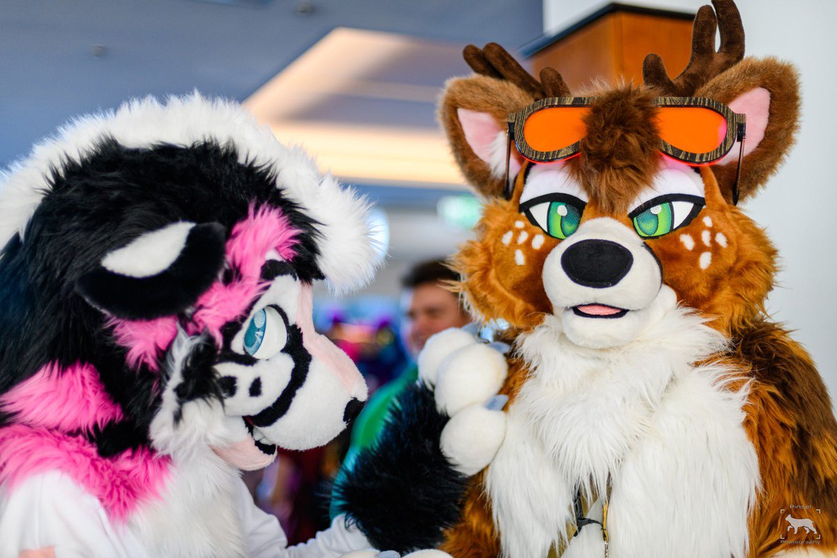 CometPaka's tweet image. Cat wisdom for this #fursuitFriday: Always check your food for pulse before eating.
📸: @PinselLuchs
🫎: @Nico_deer