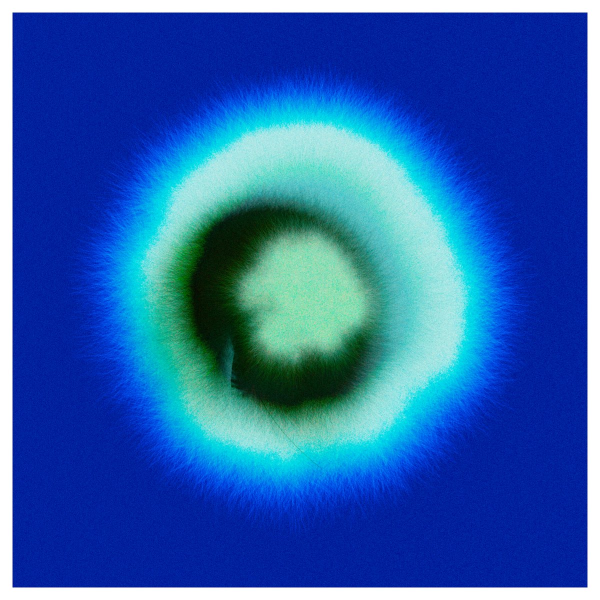 micolmicolmicol's tweet image. it's a @pointline_ friday 💙
Generative Okö - The pinkest blue