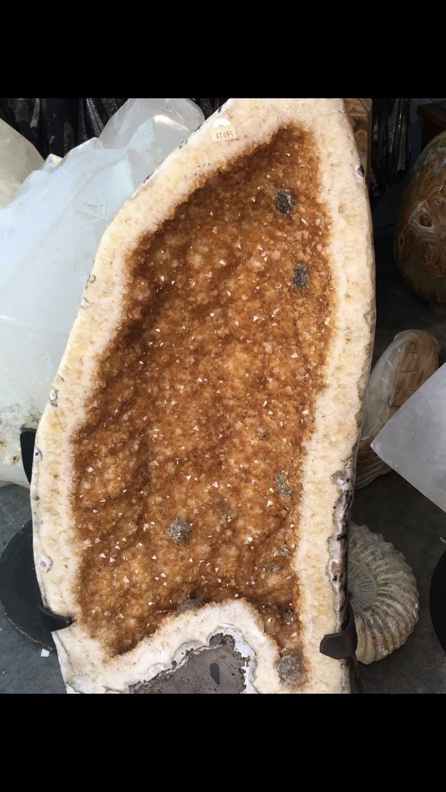 SilvaRecord's tweet image. I thought this was a sandwich.